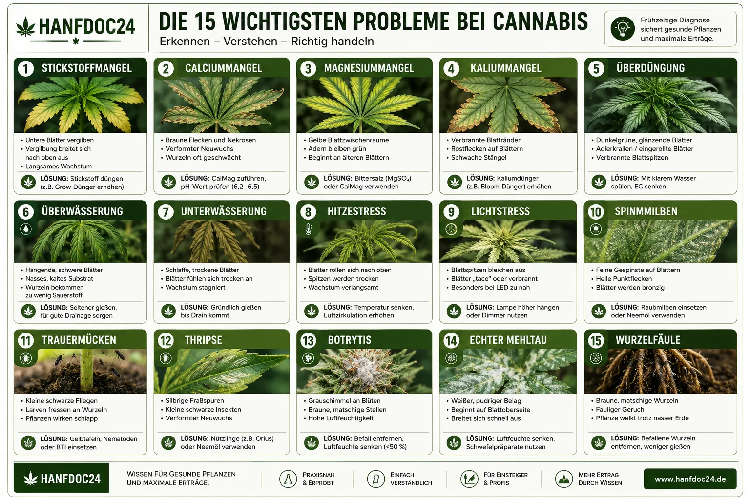 uebersicht-der-15-haeufigsten-Cannabis-Probleme