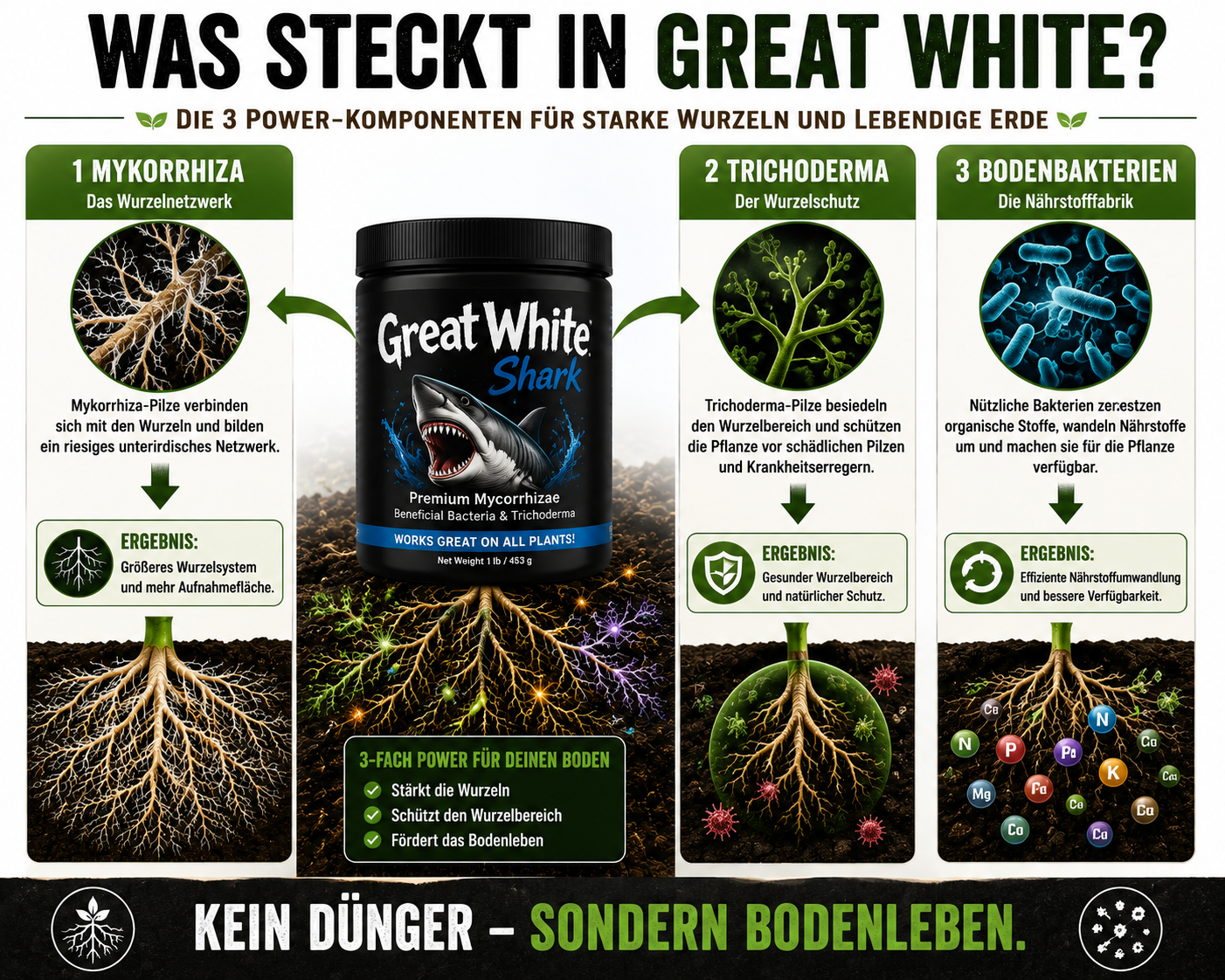 Was steckt in Great White?