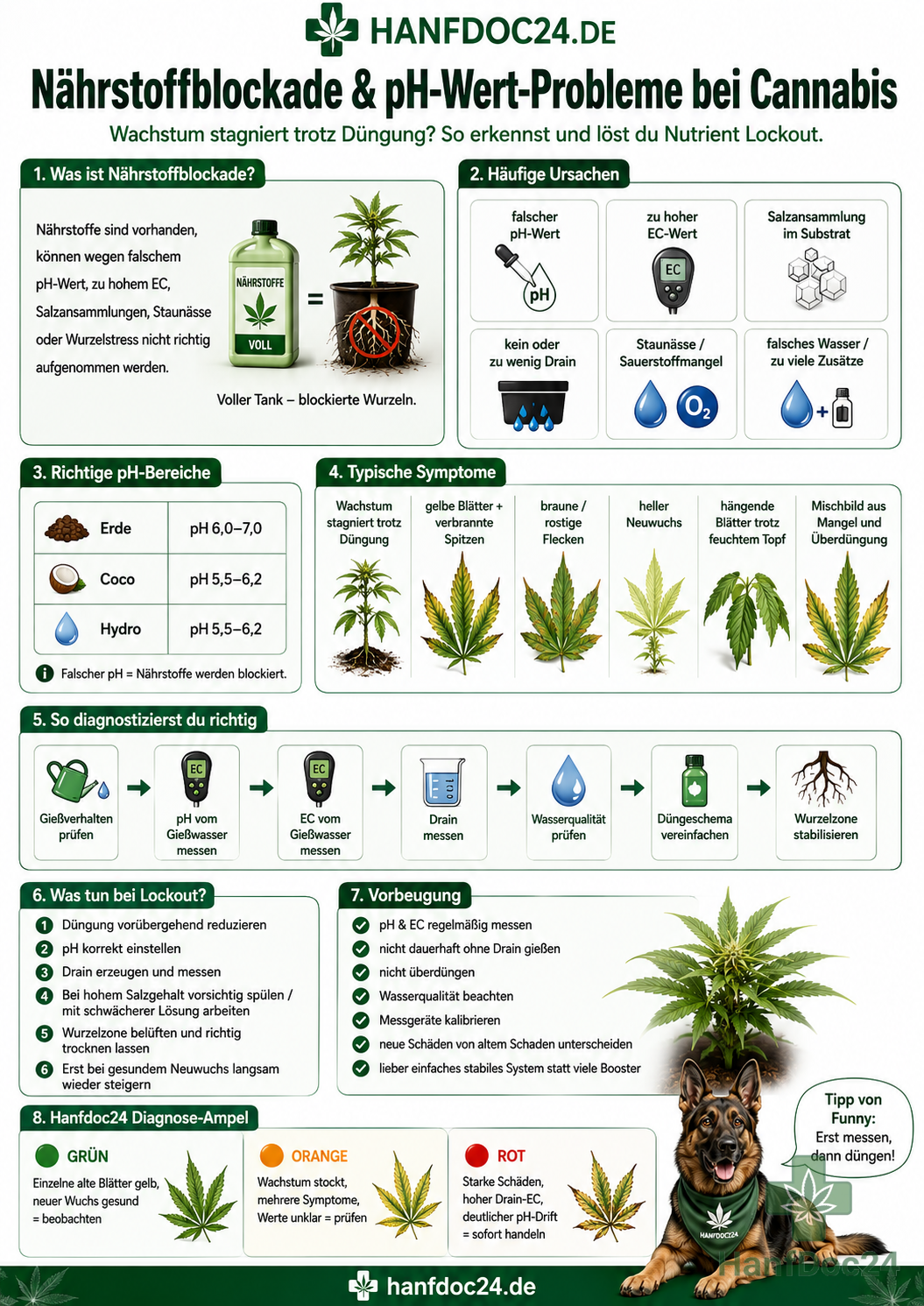 Infografik zu Nährstoffblockade und pH-Wert-Problemen bei Cannabis: Ursachen, Symptome und Lösungen, wenn Cannabispflanzen trotz Düngung nicht wachsen. Das Schaubild zeigt falschen pH-Wert, zu hohen EC-Wert, Salzansammlungen, fehlenden Drain, Staunässe, Wurzelstress, passende pH-Bereiche für Erde, Coco und Hydro sowie eine Diagnose-Ampel mit Hanfdog Funny