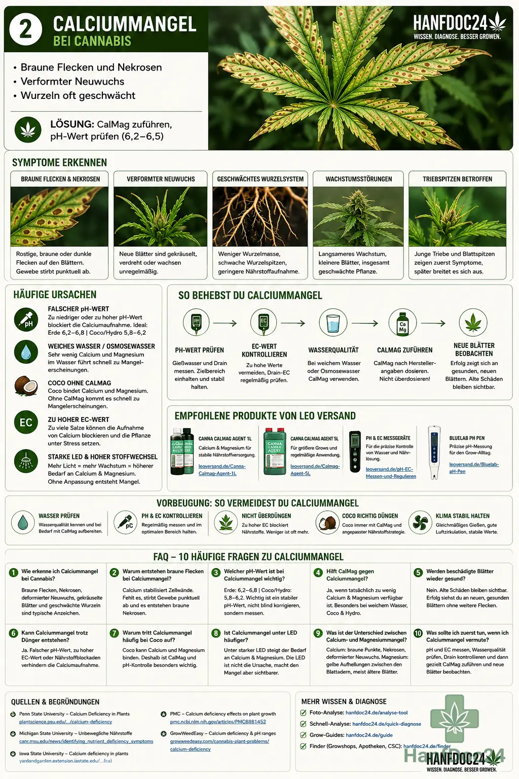 Calciummangel bei Cannabis mit braunen Flecken, Nekrosen, deformiertem Neuwuchs und geschwächten Wurzeln – Hanfdoc24 Schaubild zur Diagnose und Lösung mit CalMag und pH-Kontrolle.