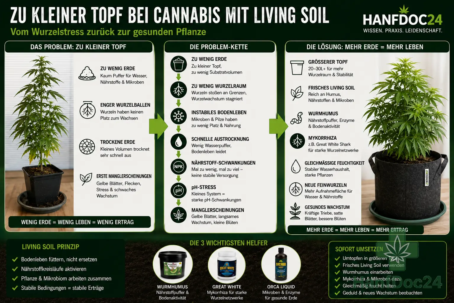 Zu kleiner Topf bei Cannabis mit Living Soil – Hanfdoc24 Schaubild zu Wurzelstress, zu wenig Erde, instabilem Bodenleben, Mangelerscheinungen, Umtopfen, Wurmhumus, Mykorrhiza und gesunder Pflanze