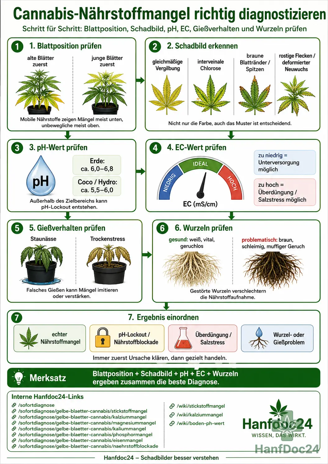 Schritt-für-Schritt-Diagnose bei Cannabis-Nährstoffproblemen anhand von Blattposition, Schadbild, pH-Wert, EC-Wert, Gießverhalten und Wurzelgesundheit.