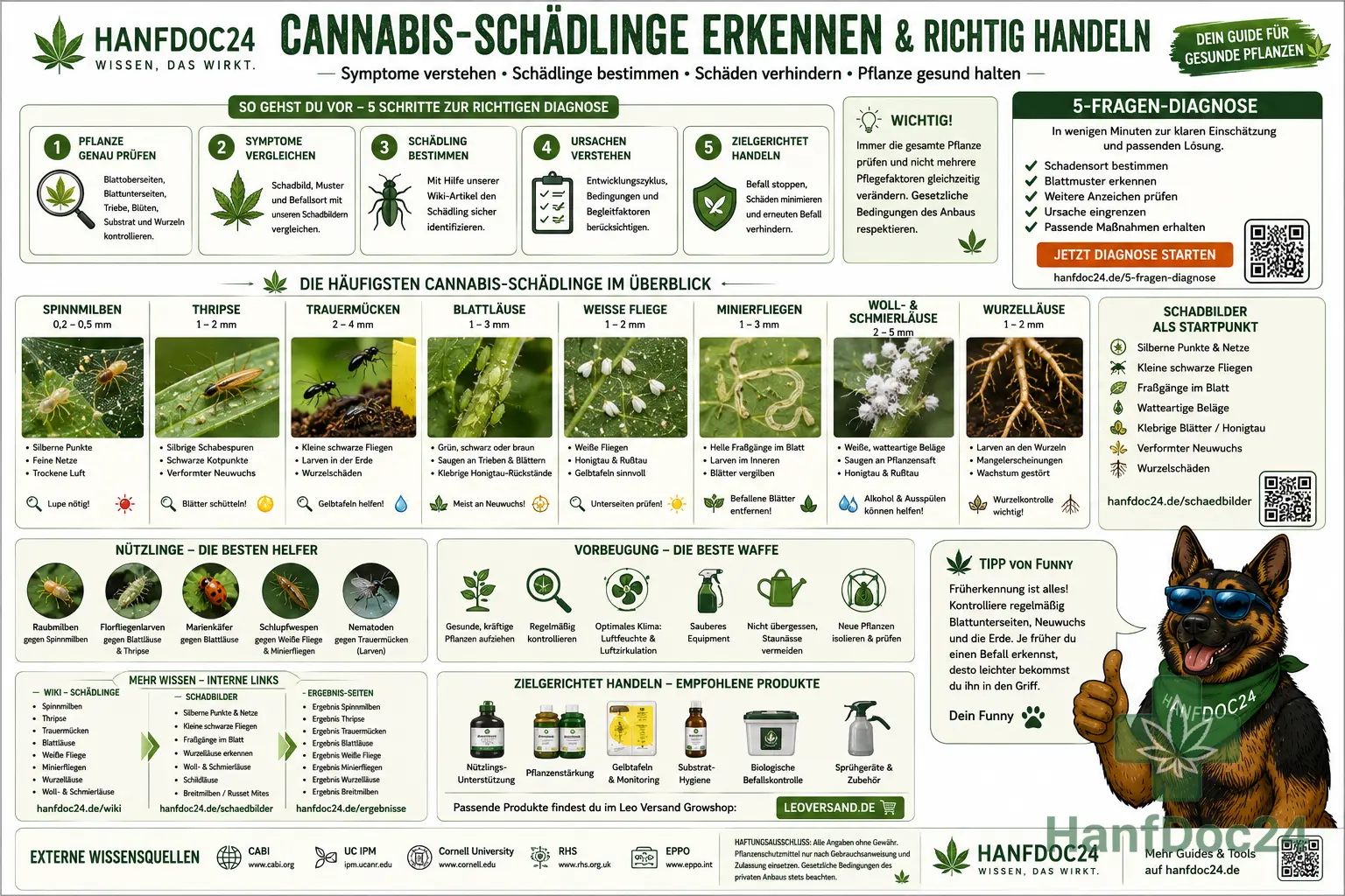 Hanfdoc24-Schautafel zu Pilzkrankheiten bei Cannabis mit fotorealistischen Beispielen für Echten und Falschen Mehltau, Botrytis, Wurzelfäule, Bodenschimmel, Blattseptoria sowie Schimmel beim Trocknen und Curing. Die Infografik zeigt typische Symptome, Ursachen, Bekämpfung, Vorbeugung und die 5-Fragen-Diagnose mit Funny als Tippgeber.