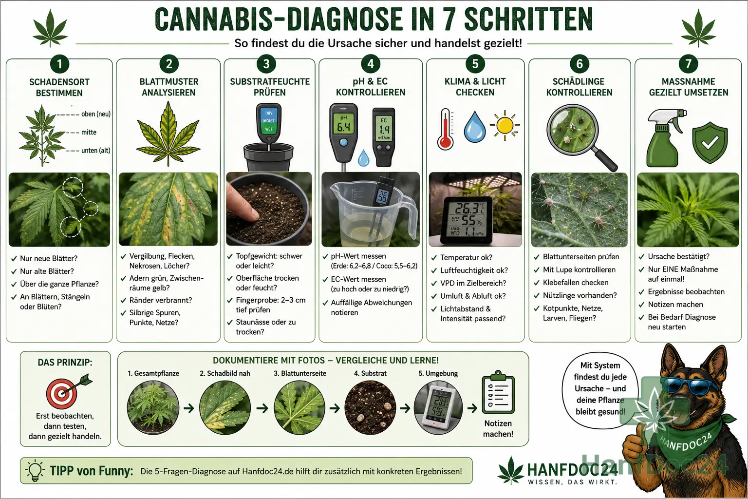 Sieben Schritte zur Cannabis-Diagnose: Schadensort, Blattmuster, Substratfeuchte, pH und EC, Klima und Licht, Schädlingskontrolle sowie dokumentierte Einzelmaßnahme.