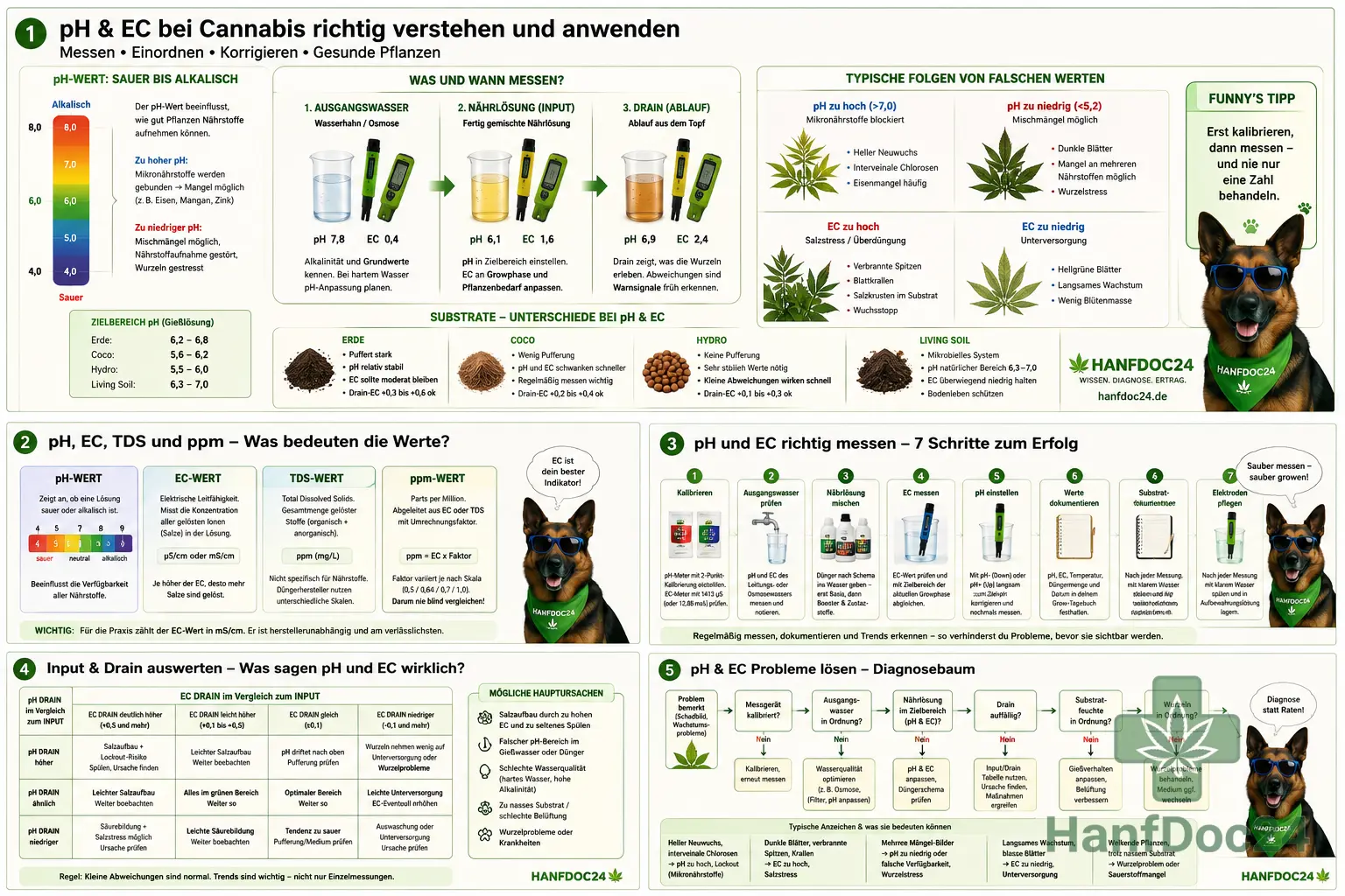 Hanfdoc24-Schautafel zu pH- und EC-Wert bei Cannabis mit pH-Messgerät, EC-Messgerät, Gießwasser, Nährlösung, Drain sowie typischen Folgen von zu hohem oder zu niedrigem pH und Salzstress.