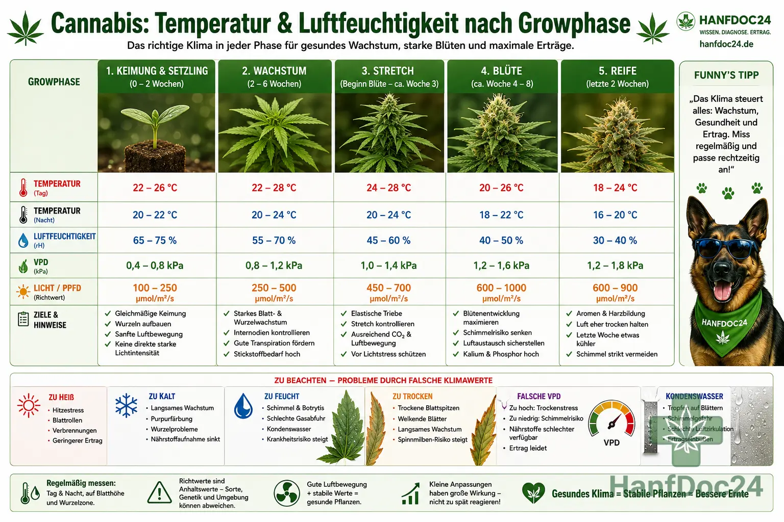 Übersicht der Temperatur- und Luftfeuchtigkeitsbereiche für Cannabis in Keimung, Wachstum, Stretch, Blüte und Reife mit Warnungen vor zu trockener Luft, Kondenswasser und Schimmel.