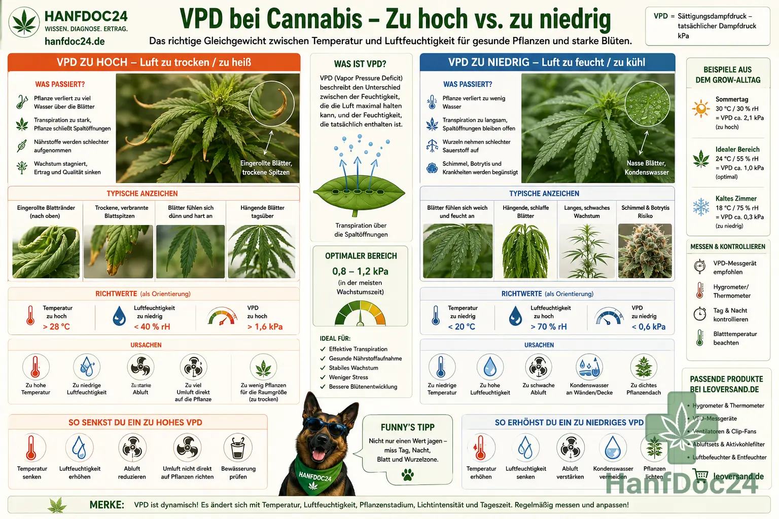 Vergleich von zu hohem und zu niedrigem VPD bei Cannabis mit eingerollten trockenen Blättern, starkem Wasserverlust, langsamer Transpiration, Kondenswasser und Schimmelrisiko.
