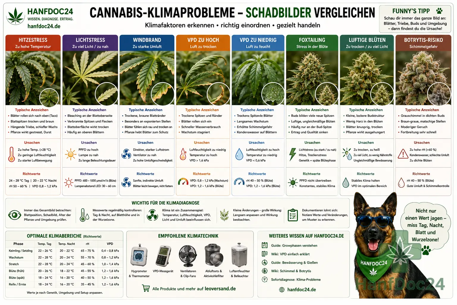 Vergleich typischer Cannabis-Klimaschäden mit Hitzestress, Lichtstress, Windbrand, zu hohem und zu niedrigem VPD, Foxtailing, luftigen Blüten und Botrytis-Risiko.