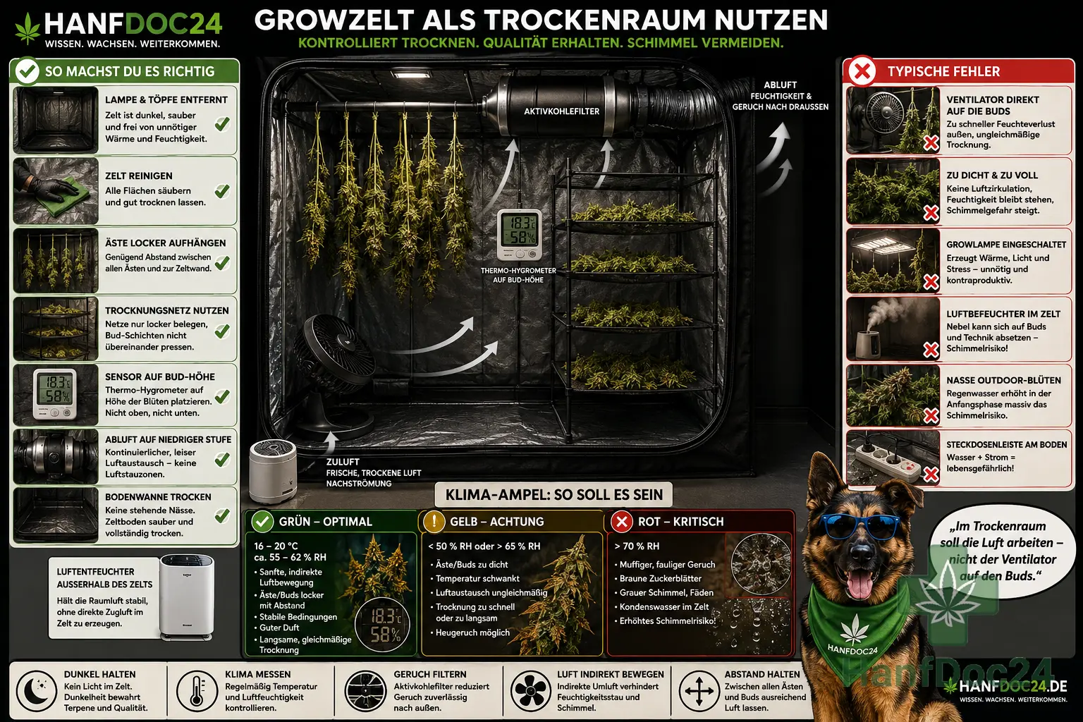 Fotorealistische Hanfdoc24-Schautafel zum Growzelt als Trockenraum mit aufgehängten Cannabisästen, Trocknungsnetz, Thermo-Hygrometer, Abluft, Aktivkohlefilter, indirekter Umluft, Luftentfeuchter außerhalb des Zelts und Schimmelwarnzeichen.