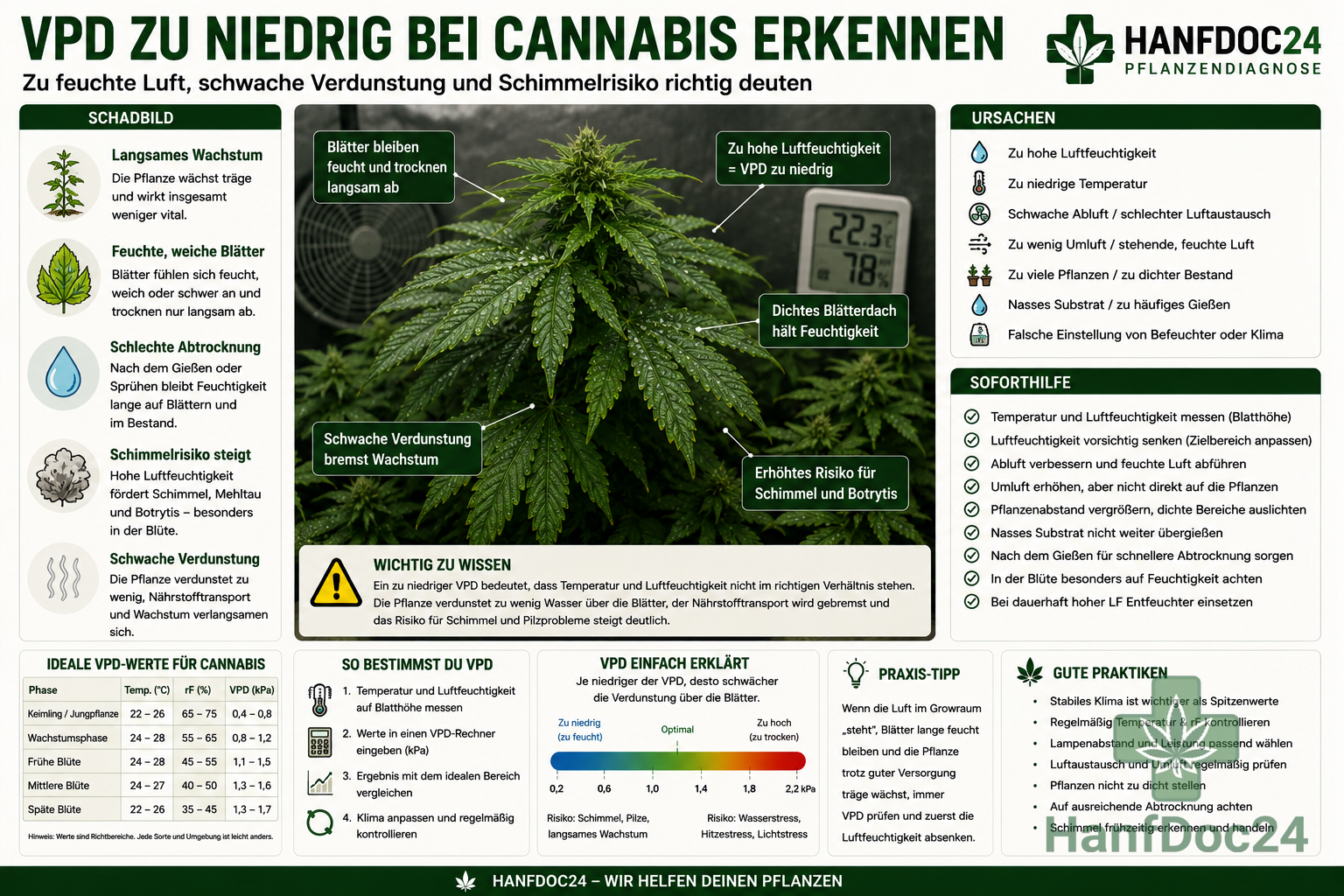 Cannabispflanze mit feuchten Blättern, dichter Luftfeuchtigkeit und erhöhtem Schimmelrisiko durch zu niedrigen VPD